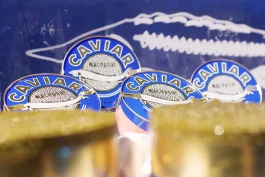 Alex Becker > Event-Fotografie Frankfurt