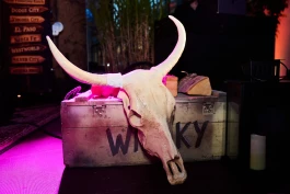 Alex Becker > Event-Fotografie Frankfurt